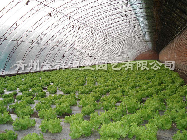 日光溫室的采光設(shè)計(jì)